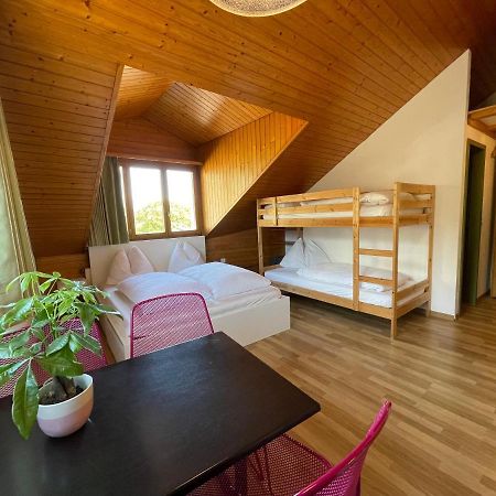 Central Beauty Scenery Apartment Interlaken Dış mekan fotoğraf