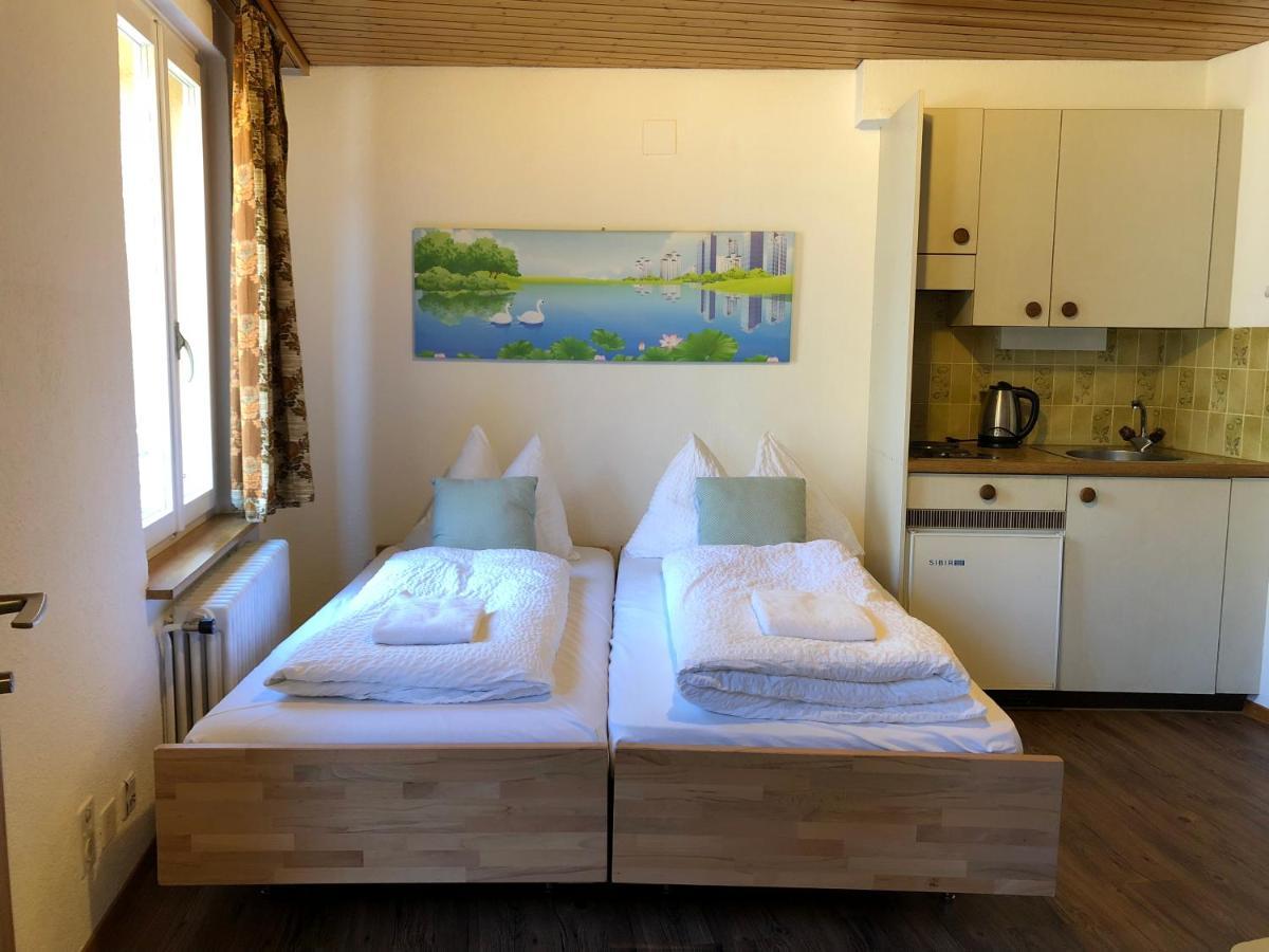 Central Beauty Scenery Apartment Interlaken Dış mekan fotoğraf